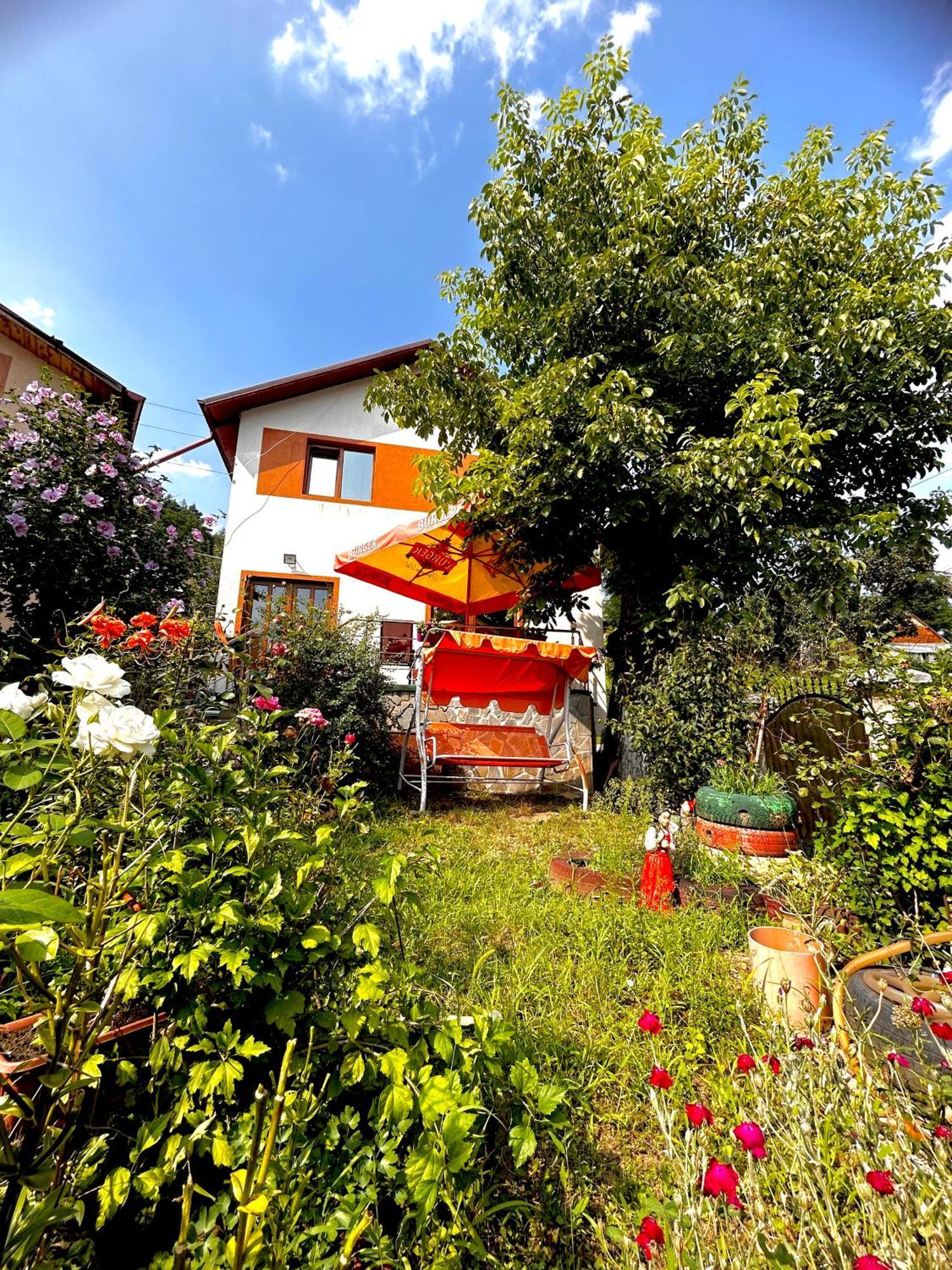 Casa Camelia Villa Nehoiu Exterior photo