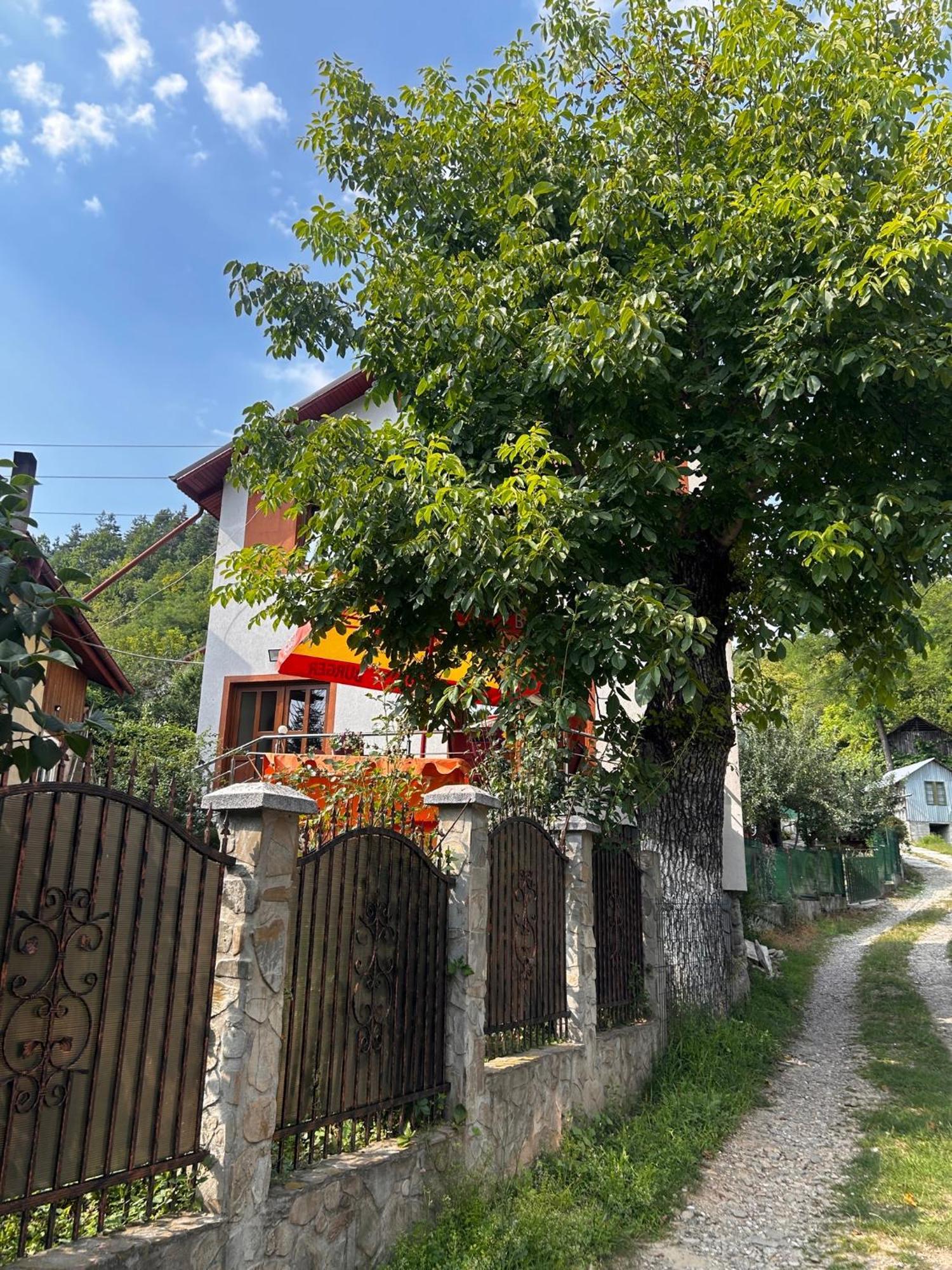 Casa Camelia Villa Nehoiu Exterior photo